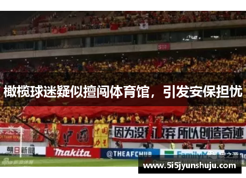 橄榄球迷疑似擅闯体育馆，引发安保担忧